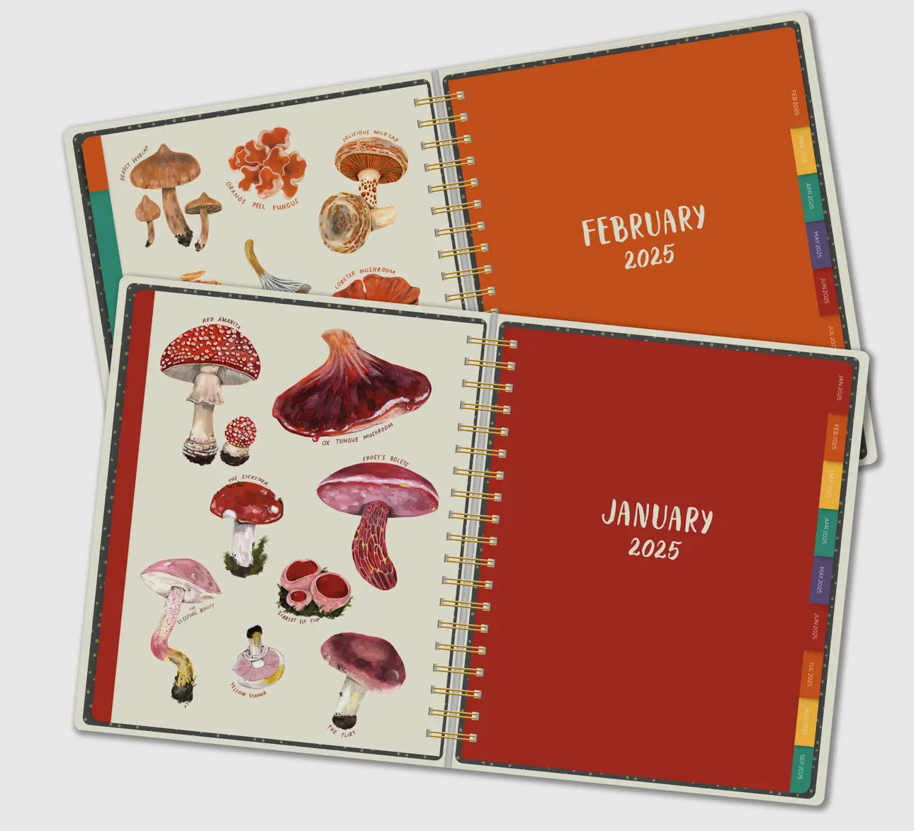2025 Mushroom Deluxe Hardcover Planner