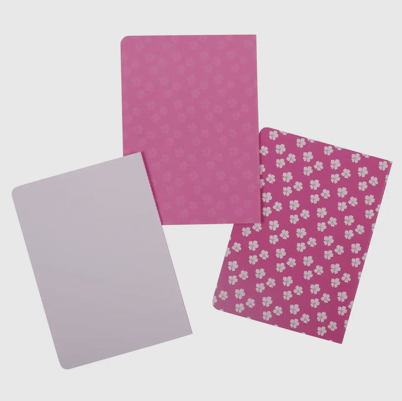 Notebooks set of 3 (Teach)